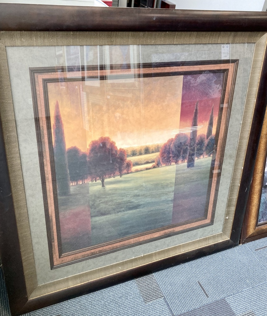 Modern Field & Trees Framed Art 49x49