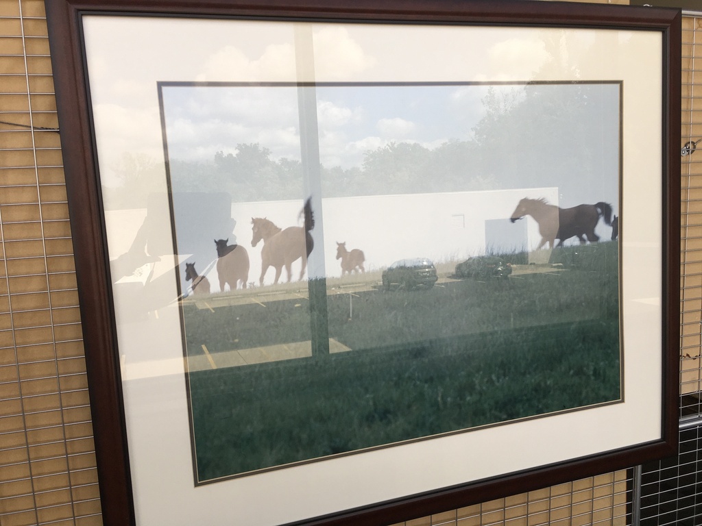 43x35 Horses Artwork
