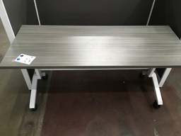 Gray Nesting Table 30"x60"
